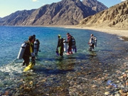 Red Sea diving holidays, main image