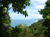 View from our Osa Peninsula rainforest lodge in CostaRica