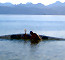 Click to enlarge Baja sea kayaking holiday photo