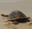Click to enlarge Seychelles eco lodge holiday photo