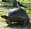 Click to enlarge Seychelles eco lodge holiday photo