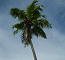 Click to enlarge Seychelles eco lodge holiday photo
