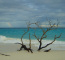 Click to enlarge Seychelles eco lodge holiday photo