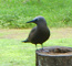 Click to enlarge Seychelles eco lodge holiday photo