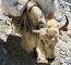 Click to enlarge Nepal trekking holiday photo