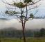 Click to enlarge Nepal trekking holiday photo