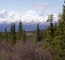 Click to enlarge Alaska holiday photo