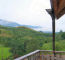 Click to enlarge Romania horse riding holiday photo