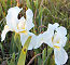 Click to enlarge walking holiday in the Algarve photo