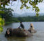 Click to enlarge Thailand elephant conservation holiday photo