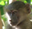 Click to enlarge Tanzania adventure holiday photo