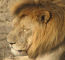 Click to enlarge Tanzania adventure holiday photo