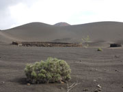 Ruta de Tremesana, Lanzarote. Photo by Nick Haslam