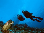 Scuba diving holidays, main image