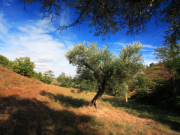 Serra da Estrela holidays, main image