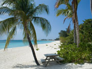 Seven Mile Beach, Cayman Islands. Photo by Cayman Islands Tourist Board