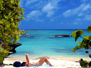 Smiths Cove, Cayman Islands. Photo by Cayman Islands Tourist Board