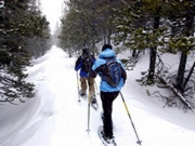 Snowshoeing holidays, main image