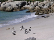 South Africa holidays, main image