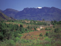 Australia tours