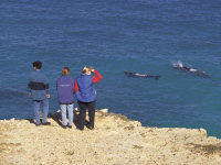 South Australia tours