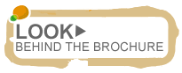 Look behind the brochure
