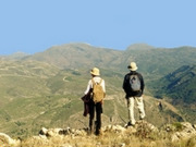 Summer walking, main image
