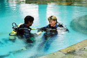 Diving course, Volunteering and wildlife in Kenya