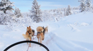 Winter late availability holidays