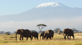 Africa holidays