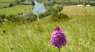Chilterns holidays