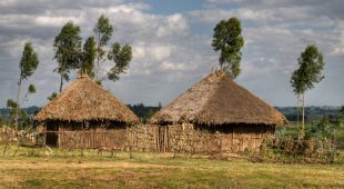Budget homestays accommodation