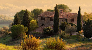 Organic farmstays accommodation