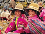 Tailor made country tours, main image