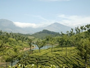 Tamil Nadu holidays, main image