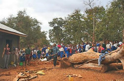 Tanzania volunteering