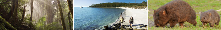 Tasmania