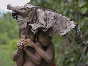 Ecuador Amazon rainforest holiday