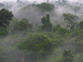 Wildlife holidays in Brazil, tailormade