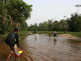 Congo and Central Africa wildlife holiday