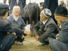 Tien Shan horse riding holiday