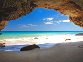Turtle conservation in Western Australia