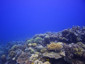 Philippines community based marine conservation
