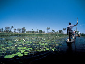 Okavango Delta safari in Botswana