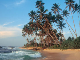 Family holiday in Sri Lanka, elephant heaven