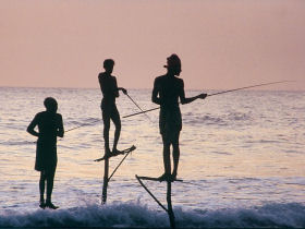 Family holiday in Sri Lanka, elephant heaven