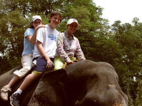 Family holiday in Sri Lanka, elephant heaven