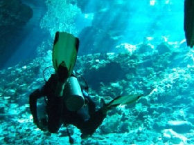 Marine conservation expedition in Mexico