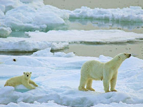 Northwest Passage Cruise