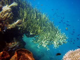 Thailand holiday, Northern Mountains, Southern Beaches